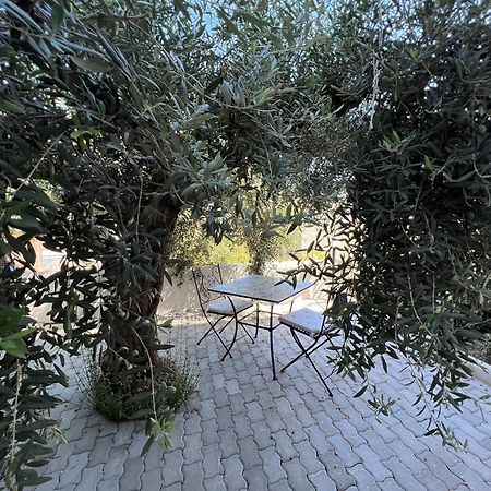 Appartamento L'Ulivo Бранкалеоне Марина Екстериор снимка